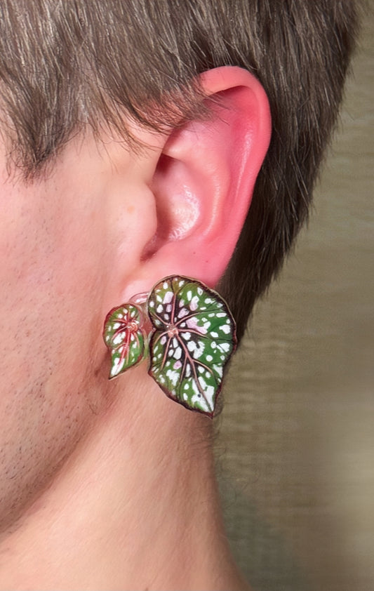 Begonia ´‘Red Maculata’´ - Ohrringe