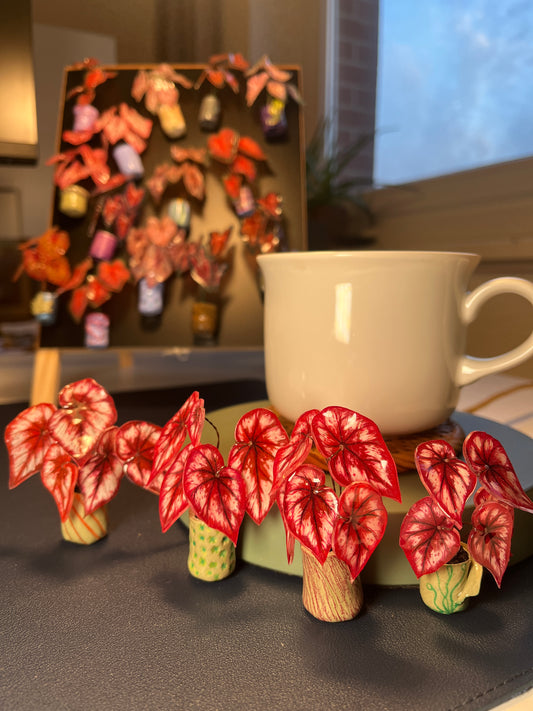 Caladium „Bloody Angel“ - Magnet