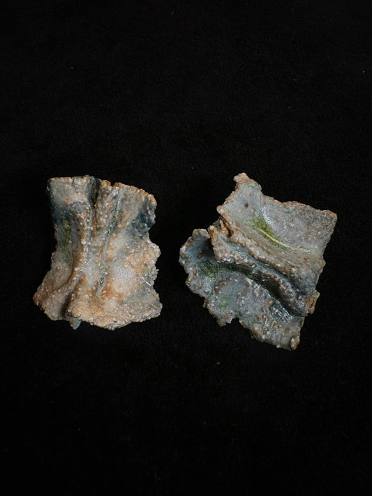 EARTH TONE — “Tide Rock"